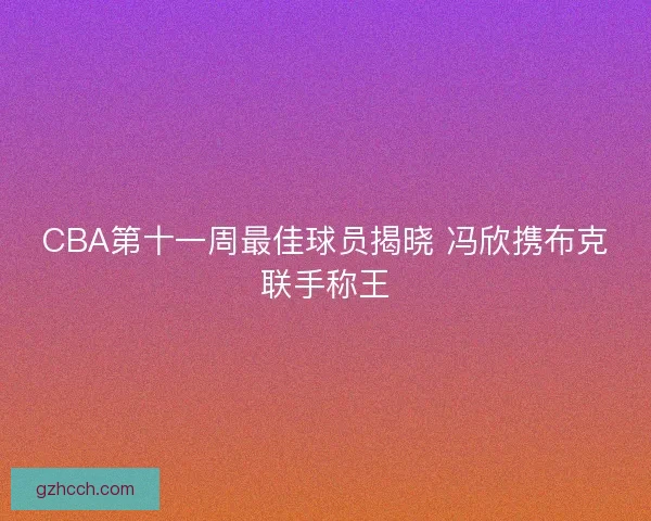 CBA第十一周最佳球员揭晓 冯欣携布克联手称王